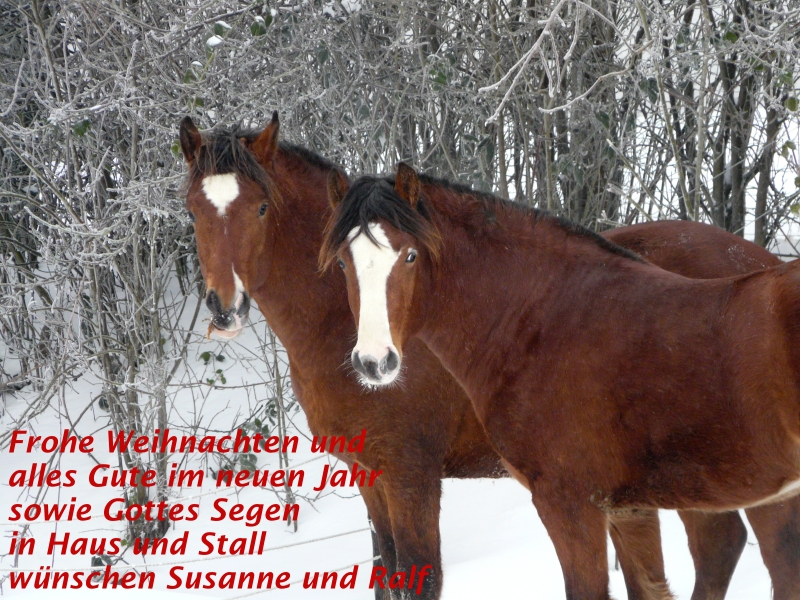 Weihnachtsgr&uuml;&szlig;e