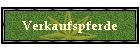 Verkaufspferde