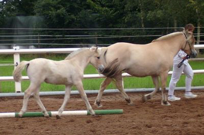 Laikny und Laika II