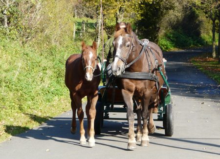 Jeanette mit ihrer Tochter Java